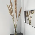 T3 Plume Hyper Centre D'ernee Ernée