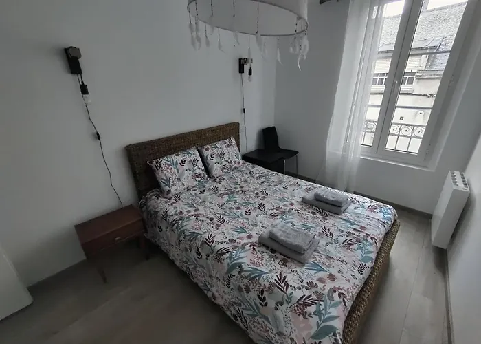 Appartement T3 Plume Hyper Centre D'ernée *