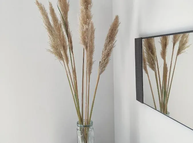 T3 Plume Hyper Centre D'ernée Ernée